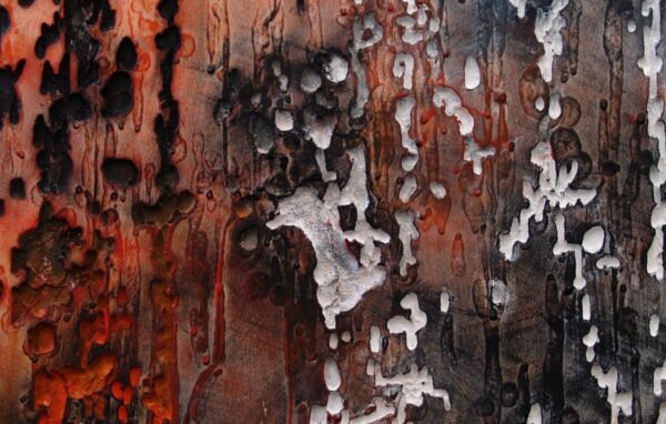 water droplets2 p1jqpw8klozsyv3e7frt81lfm9o4xiiwbwx7e6a01c