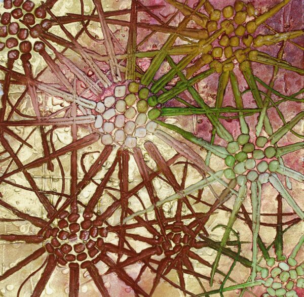 ambrosia